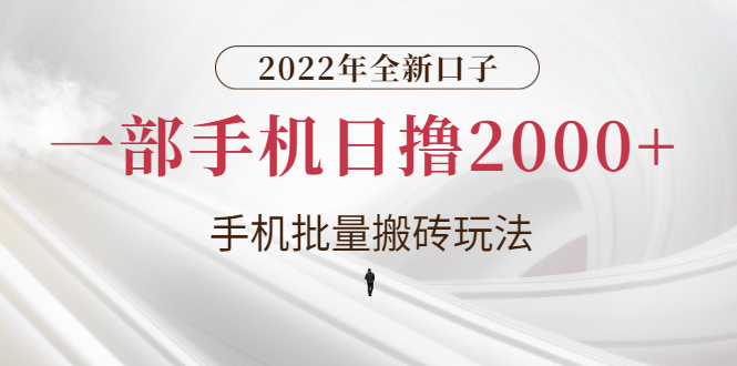 全新口子，手机批量搬砖玩法，一部手机日撸2000+