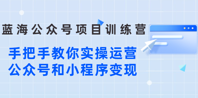 蓝海公众号项目训练营，手把手教你实操运营公众号和小程序变现