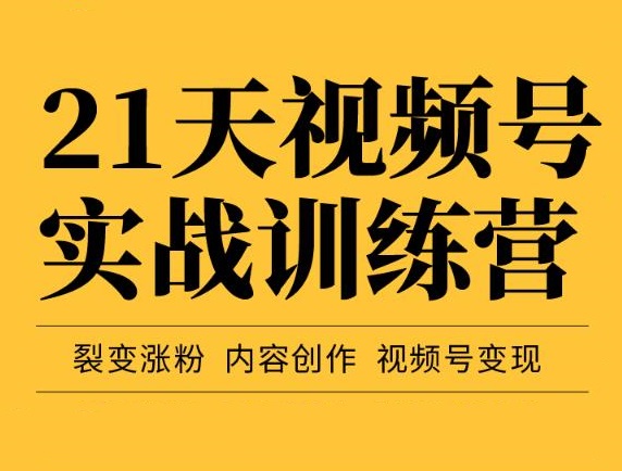 21天视频号实战训练营，裂变涨粉、内容创作、视频号变现（价值298元）