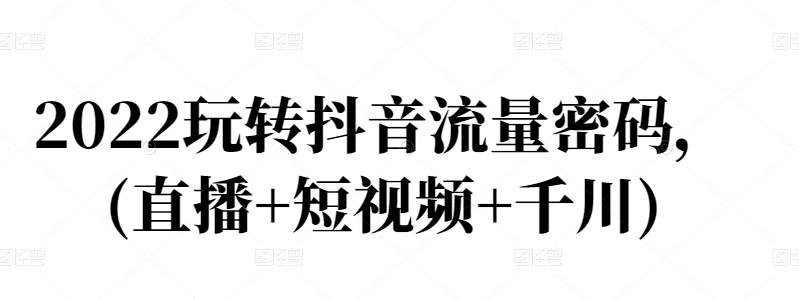 玩转抖音流量变现密码，直播运营技巧、电商主播成长记(直播+短视频+千川)