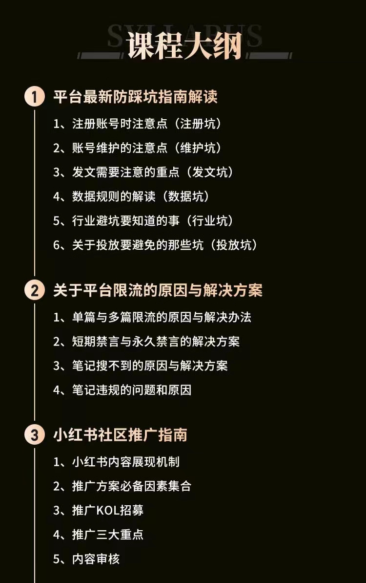 小红书穿透式营销收割攻略 引爆流量，助你玩转小红书