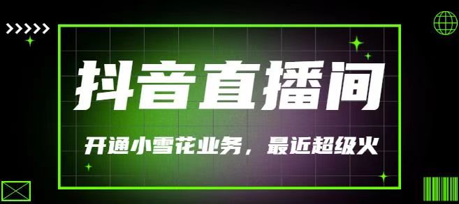 最近非常火的抖音直播间开通小雪花业务，利用信息差操作赚钱（价值288）
