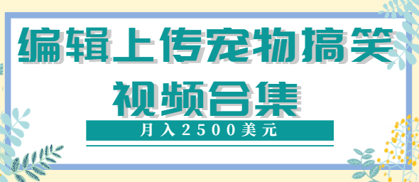 编辑上传宠物搞笑视频合集，就可以通过YouTube赚钱月入2500美元