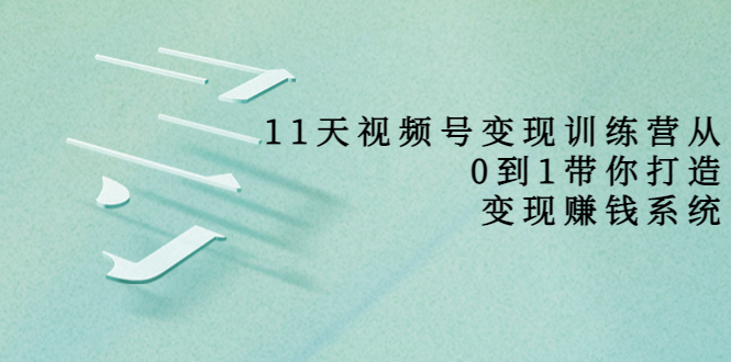 11天视频号变现训练营，从0到1打造变现赚钱系统（价值398元