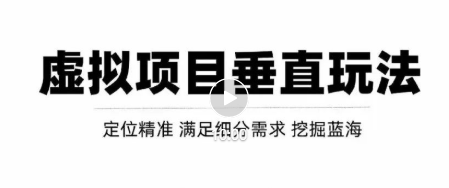 虚拟项目垂直细分类目玩法，新手快速起店，轻松月入上万！【视频教程】