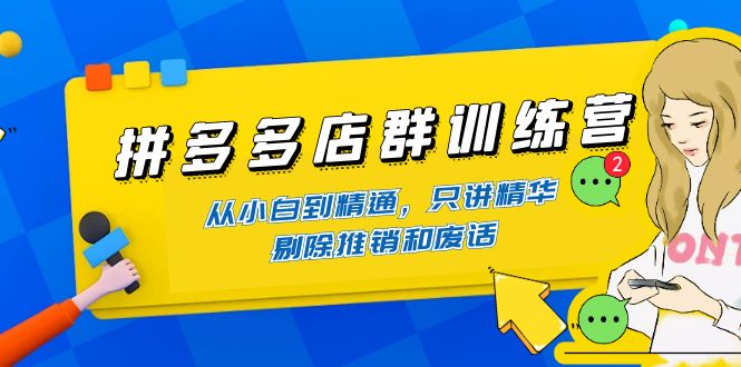 拼多多店群训练营：从小白到精通，只讲精华，剔除推销和废话