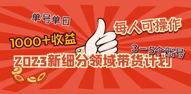 新细分领域带货计划：单号单日1000+收益不难，每人可操作3-5个账号