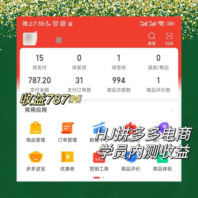 拼多多电商项目，稳定一天300～3000+，门槛低，出单快，一部手机即可完成 