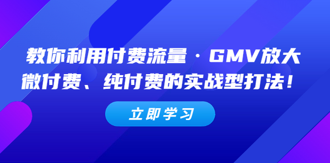 教你利用付费流量·GMV放大，微付费、纯付费的实战型打法【无水印】