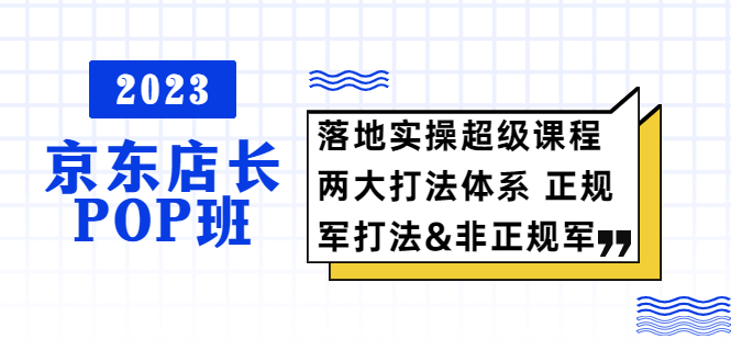 京东店长POP班 落地实操超级课程 两大打法体系 正规军非正规军