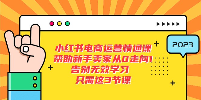 小红书电商·运营精通课，帮助新手卖家从0走向1 告别无效学习（17节视频课）