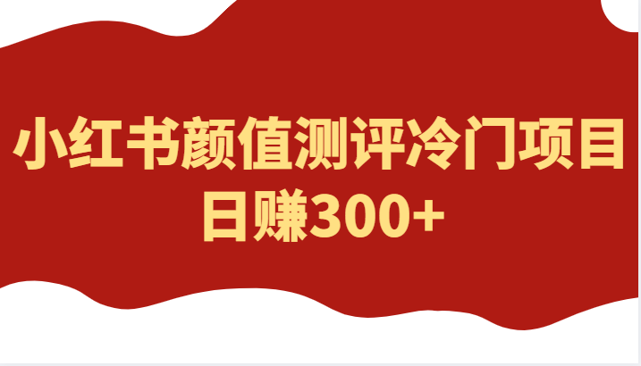 外面4980的项目，小红书颜值测评冷门项目，日赚300+