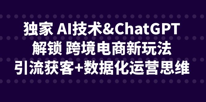 独家AI技术ChatGPT解锁 跨境电商新玩法，引流获客+数据化运营思维