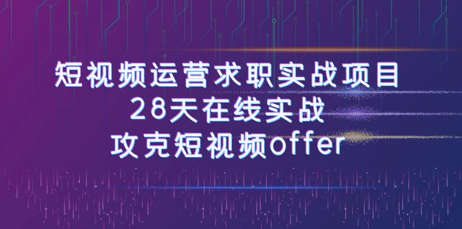 短视频运营求职实战项目，28天在线实战，攻克短视频offer（46节课）