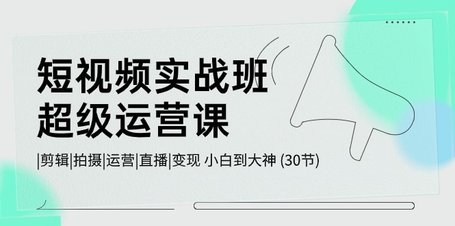 短视频实战班超级运营课 |剪辑|拍摄|运营|直播|变现 小白到大神 (30节)