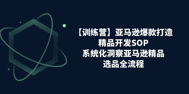 亚马逊爆款打造之精品开发SOP【训练营】，系统化洞察亚马逊精品选品全流程