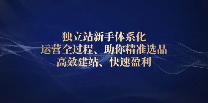 独立站新手体系化 运营全过程，助你精准选品、高效建站、快速盈利